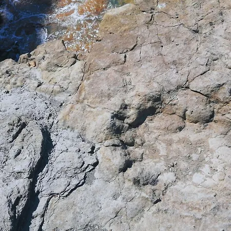 Con Jardin A 5 Minutos De La Playa