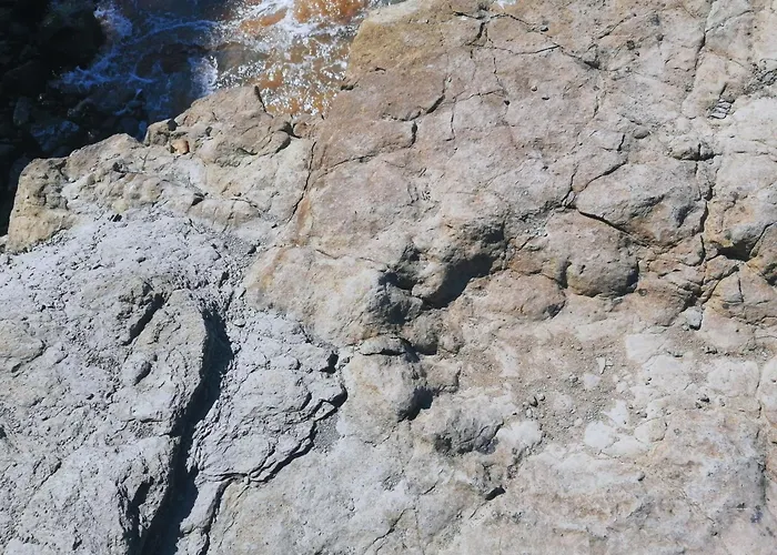 Con Jardin A 5 Minutos De La Playa