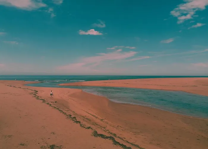 Con Jardin A 5 Minutos De La Playa 펜션 *