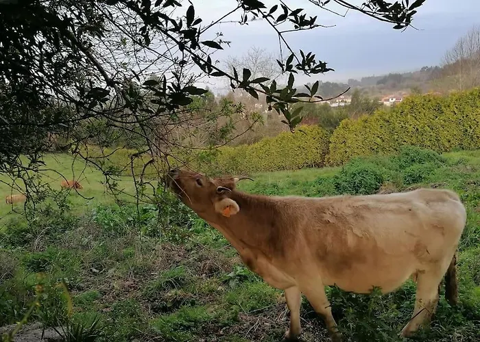 펜션 Con Jardin A 5 Minutos De La Playa