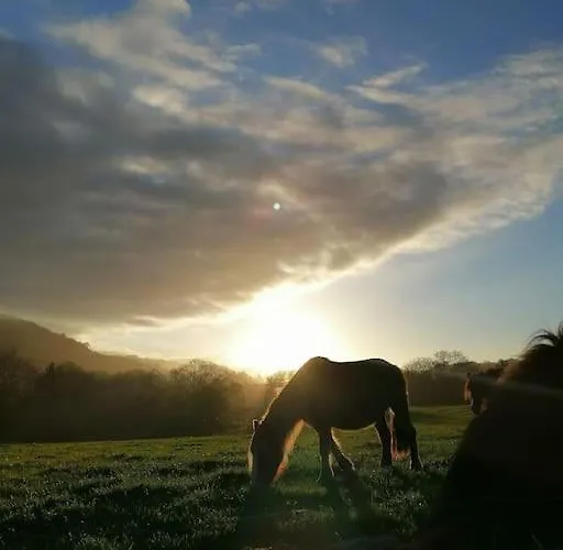 Con Jardin A 5 Minutos De La Playa